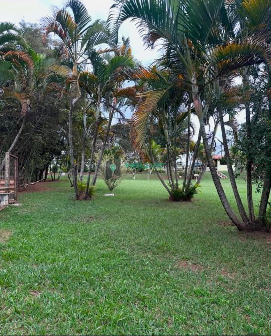 fazenda-venda-mateus-leme-mg-1063415
