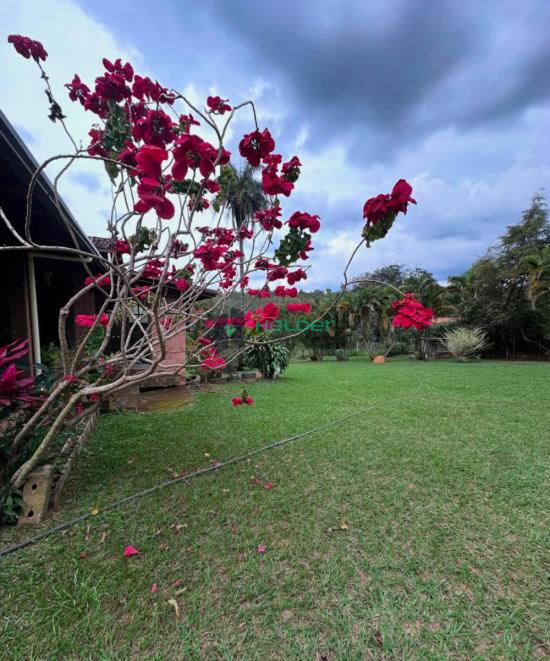 fazenda-venda-mateus-leme-mg-1063412