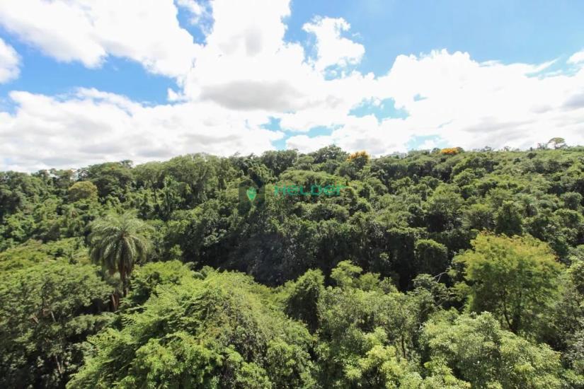 apartamento-venda-castelo-belo-horizonte-1059285