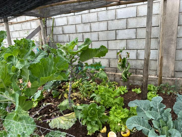 casa-venda-sao-joaquim-de-bicas-1029532