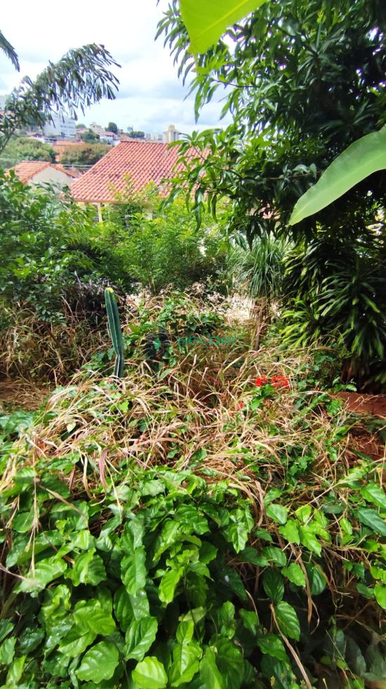 casa-venda-santa-cruz-bh-mg-1058255